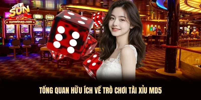 Tổng quan hữu ích về trò chơi Tài Xỉu MD5 Tổng quan hữu ích về trò chơi Tài Xỉu MD5 Sunwin
